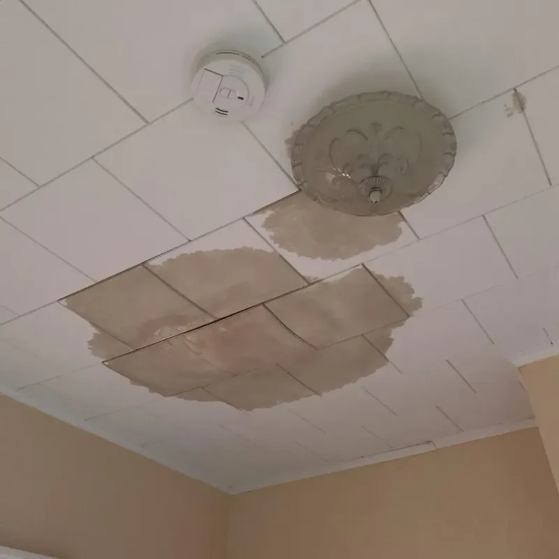 Ceiling Water Damage Repair in Ardmore, TN