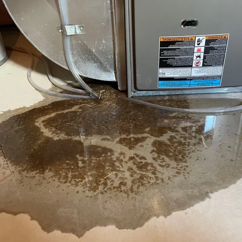 Pipe Burst and Leak Restoration in Ardmore, TN